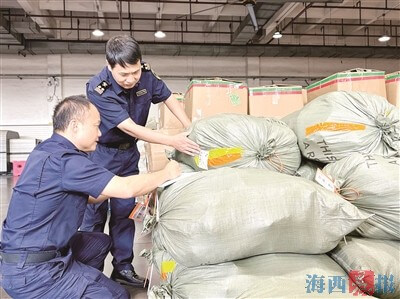 2025年“双十一”跨境电商出口高峰抵达厦门空港，东南亚包裹量激增超50%