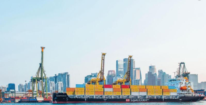 开工出货别踩雷！2026 厦门企业必看：木质包装熏蒸合规指南